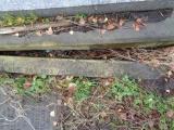 image of grave number 947976